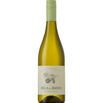 Béla és Bandi Sauvignon Blanc 2024 (0,75L | 13%)