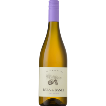 Béla és Bandi Pinot Gris 2024 (0,75L | 14%)